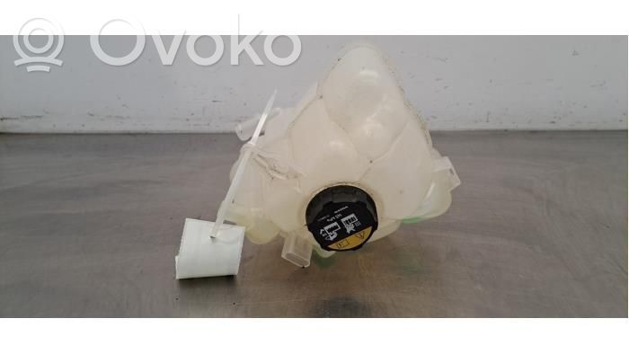 Volvo V60 Vas expansiune/rezervor lichid de răcire 