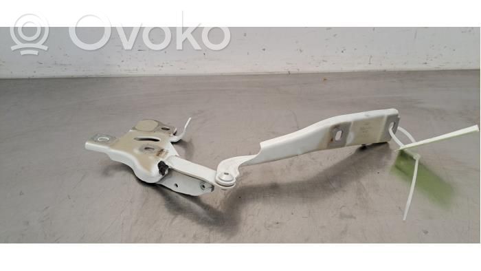 Audi e-tron Engine bonnet/hood hinges 
