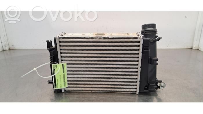 Renault Scenic IV - Grand scenic IV Chłodnica powietrza doładowującego / Intercooler 