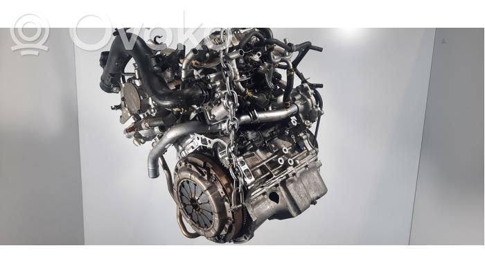 Motor