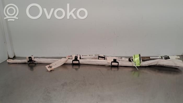 Audi e-tron Airbag del techo 
