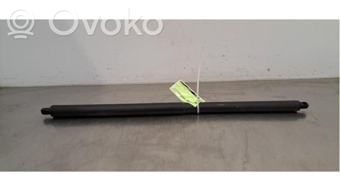 Heckklappenstrebe   CJ54S402A74AC,CJ54S402A74AC,5188513