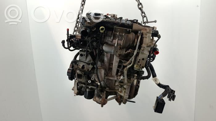 Motor