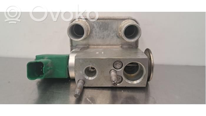 Renault Megane IV Halterung Ölfilter / Ölkühler