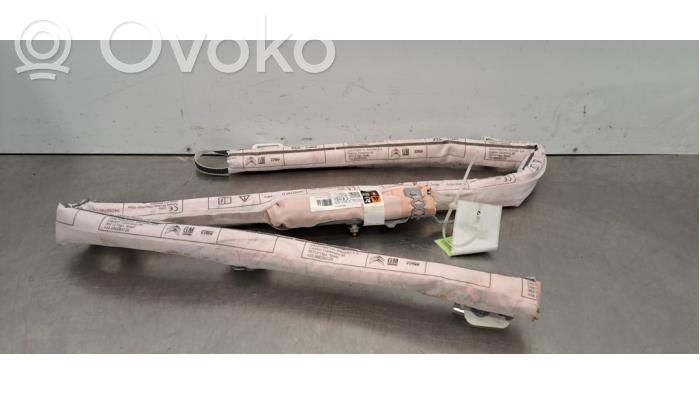 Airbag del techo   34216413E