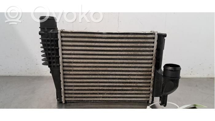 Citroen Jumpy Radiatore intercooler