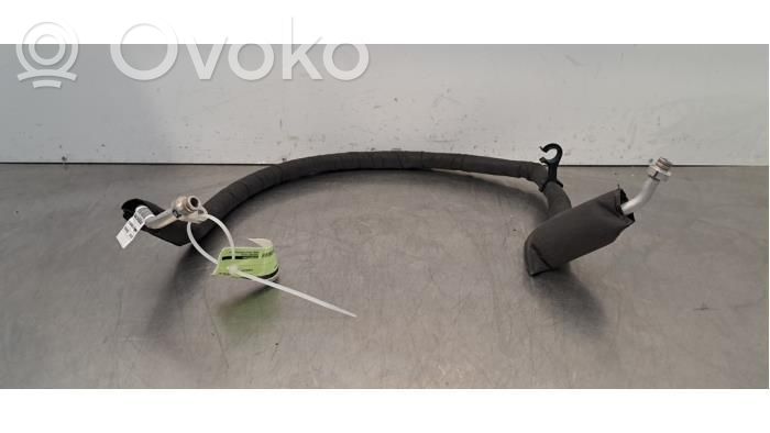 Ilmastointilaitteen putki (A/C)   9846545880