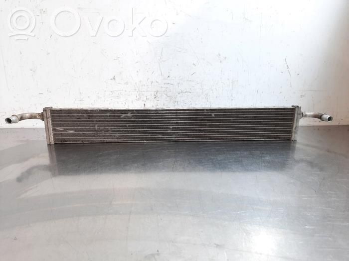 Renault Trafic III (X82) Coolant radiator 