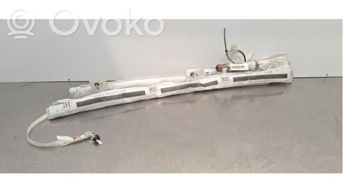 Kurtyna airbag   YFSS2034123,477B3,SAIC477B3