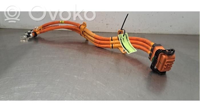 Cable de alta tensión   10824432