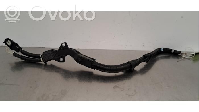 Minus / Klema / Przewód akumulatora   K62867270A