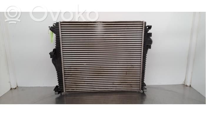 Radiador intercooler   50565837