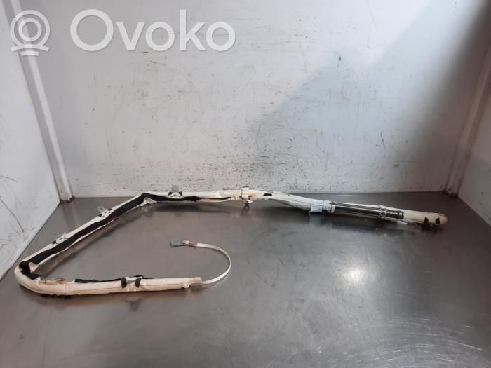 Ford S-MAX Airbag del techo 