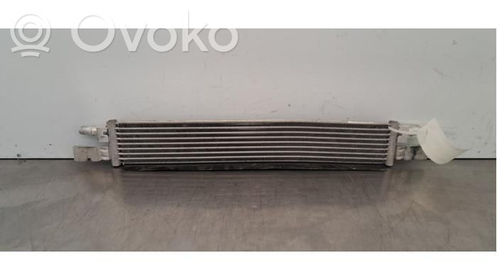 Mocowanie / uchwyt filtra oleju   17218679837,17118593276,17428591441,17428591442,17518592701