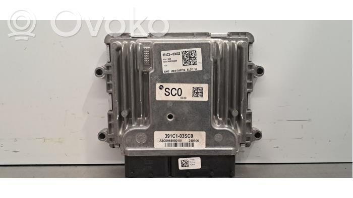 Engine control unit/module   391C303SC0