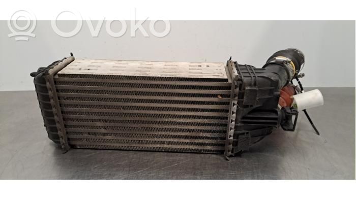 Intercooler radiator   9803900780