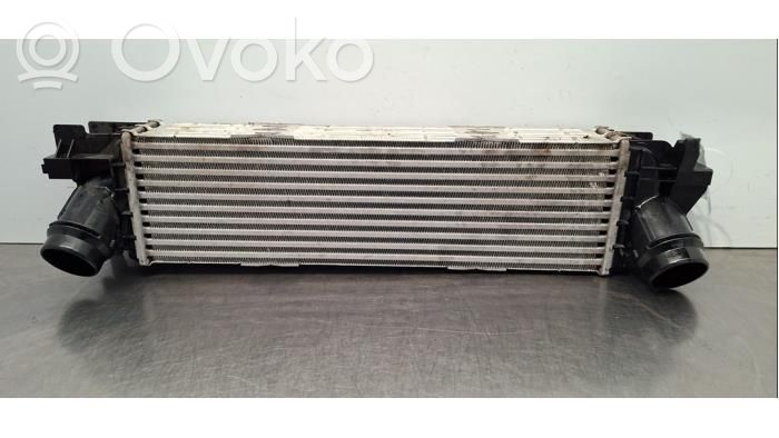 BMW 3 G20 G21 Chłodnica powietrza doładowującego / Intercooler 