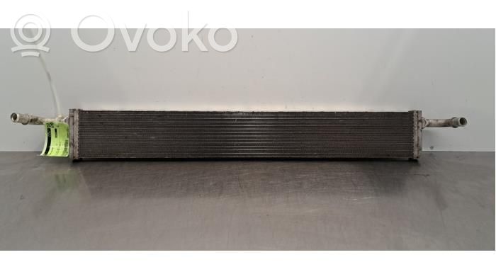 Renault Trafic III (X82) Oil filter mounting bracket 