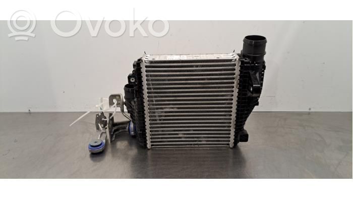 Radiatore intercooler   9836073780