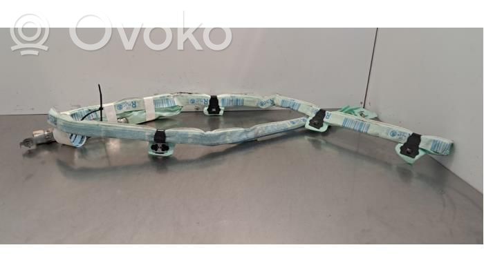 Skoda Octavia Mk3 (5E) Airbag da tetto