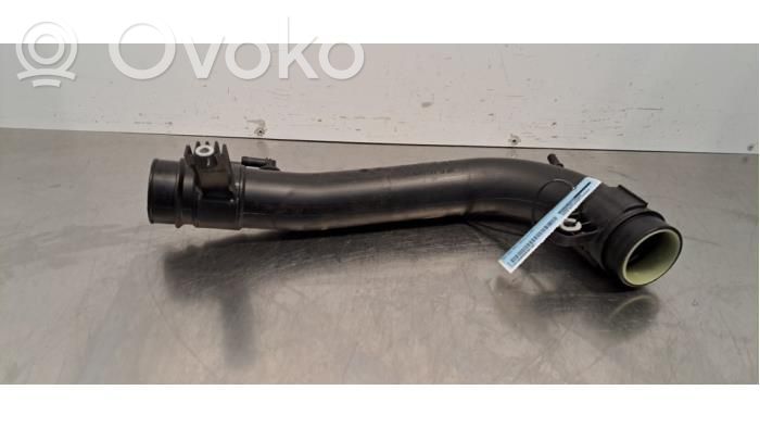 Ford Ecosport Žarna (-os)/ vamzdis (-džiai) 