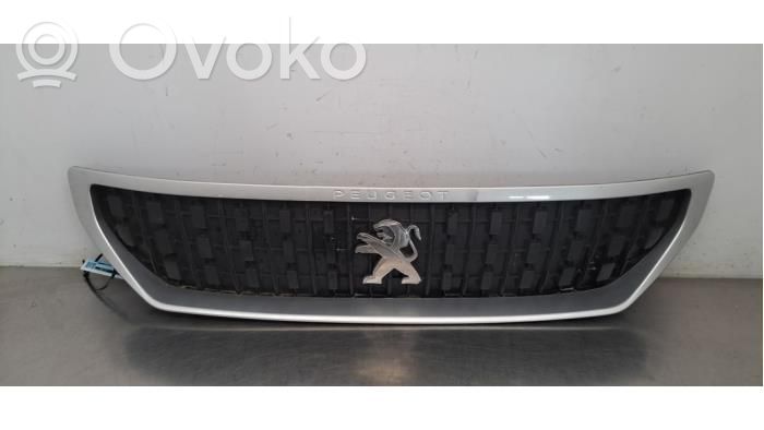 Peugeot Expert Grilă radiator față 