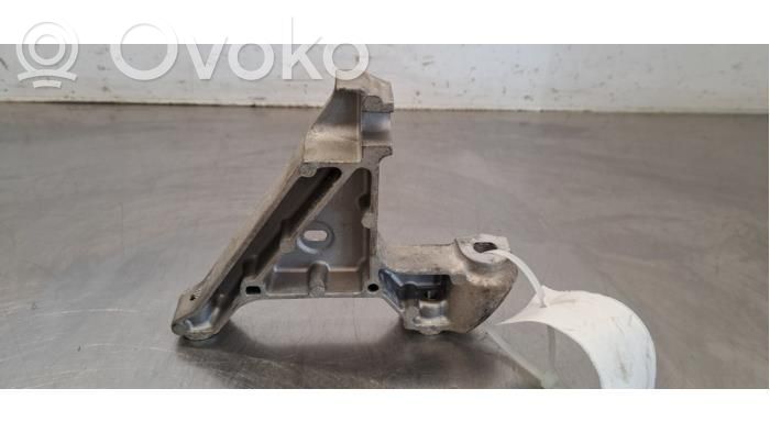 Engine mount bracket   244834609R