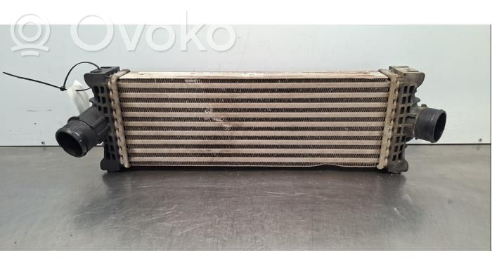 Intercooler radiator   GK216K775AE