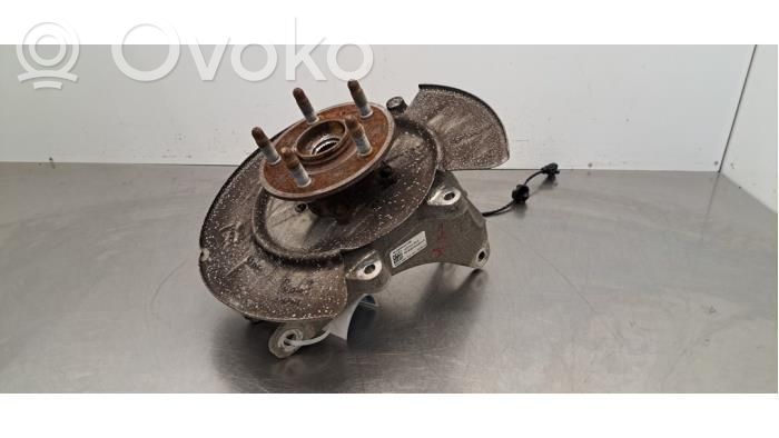 Achsschenkel hinten   102741100D