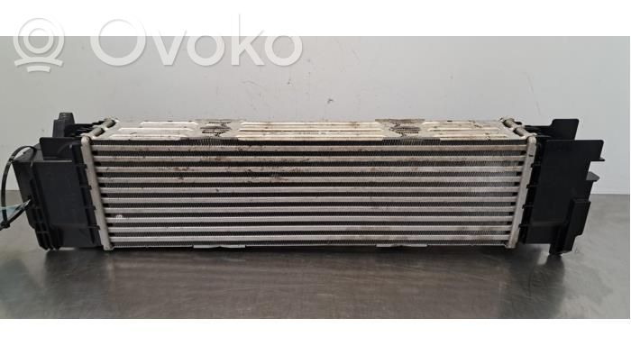 BMW 4 G22 G23 G24 G26 Chłodnica powietrza doładowującego / Intercooler 