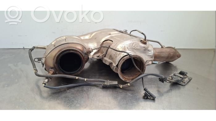 Filtr cząstek stałych Katalizator / FAP / DPF   68500666AA