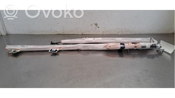 Airbag del techo   9843175380