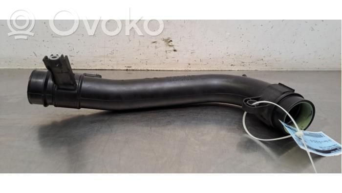 Ford Fiesta Žarna (-os)/ vamzdis (-džiai) 