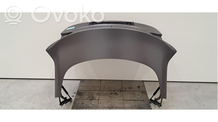 Tesla Model 3 Puerta del maletero/compartimento de carga 