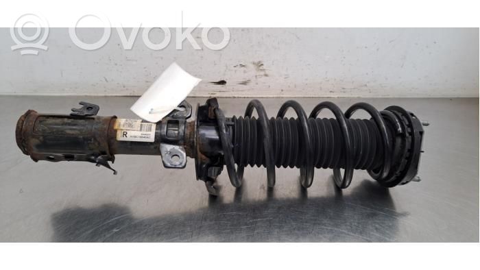 Ford Fiesta Front shock absorber/damper 
