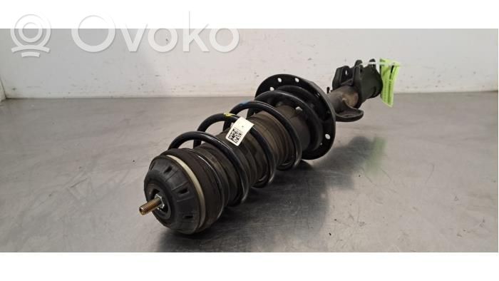 Stoßdämpfer vorne   521171640