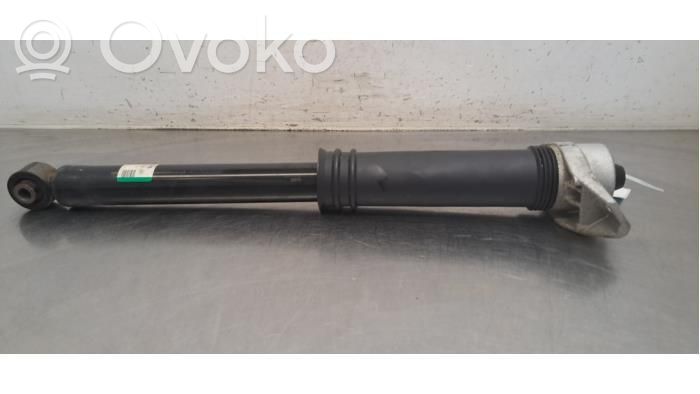 Renault Austral Rear shock absorber/damper 