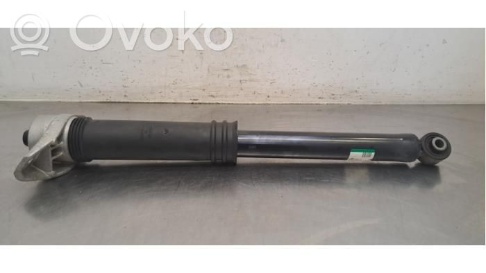 Renault Austral Rear shock absorber/damper 