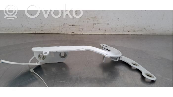 Ford Transit Courier Dzinēja pārsega eņģe (-es) 