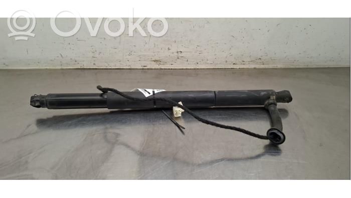 Tailgate strut   7332698,51247332698