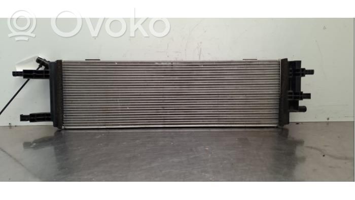 Renault Rafale Radiator lichid răcire 