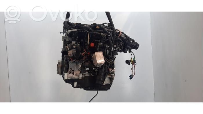 BMW 1 F40 Motor