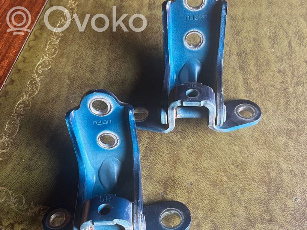 Front door hinge set   120102
