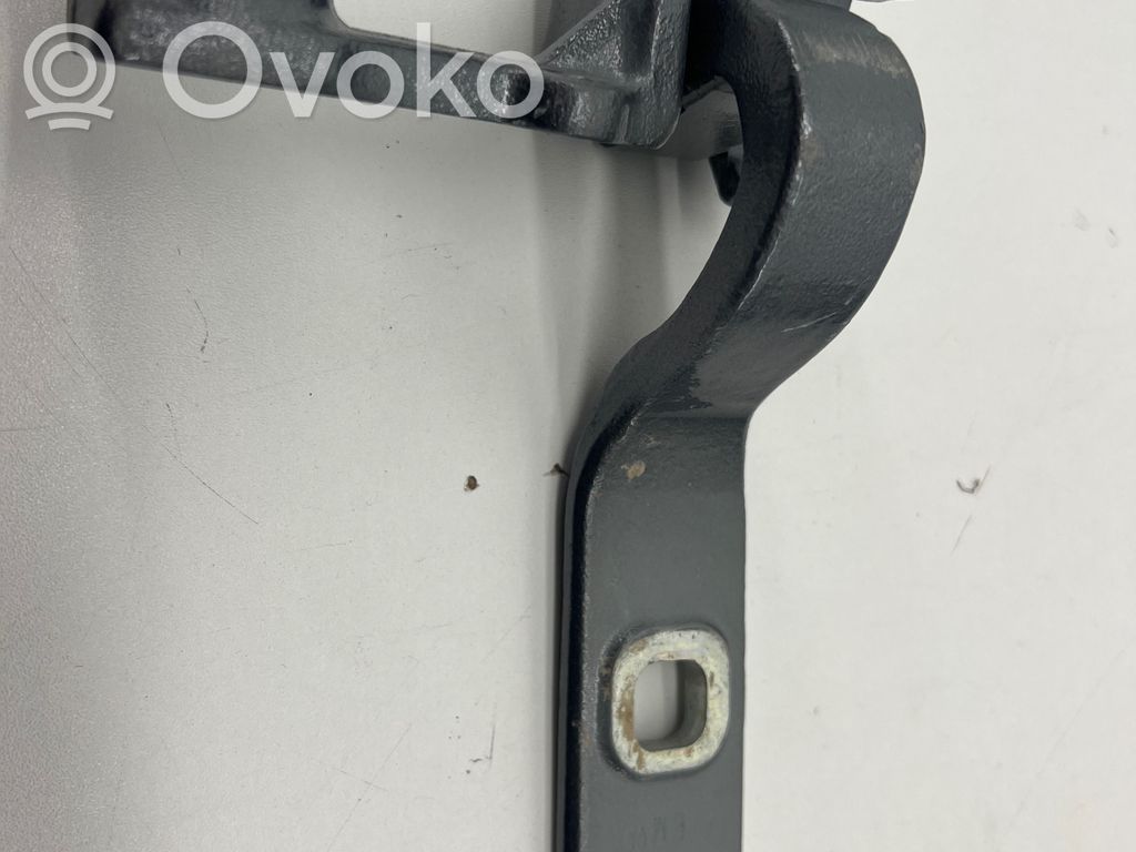 Tailgate/trunk/boot hinge   7436117