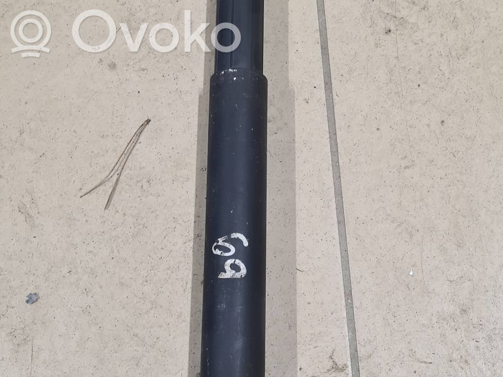 Tailgate/trunk strut/damper   7177283