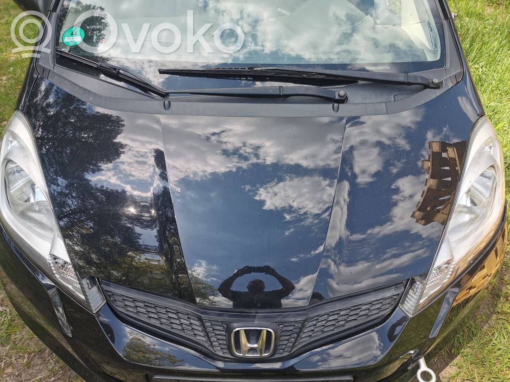 Engine bonnet/hood