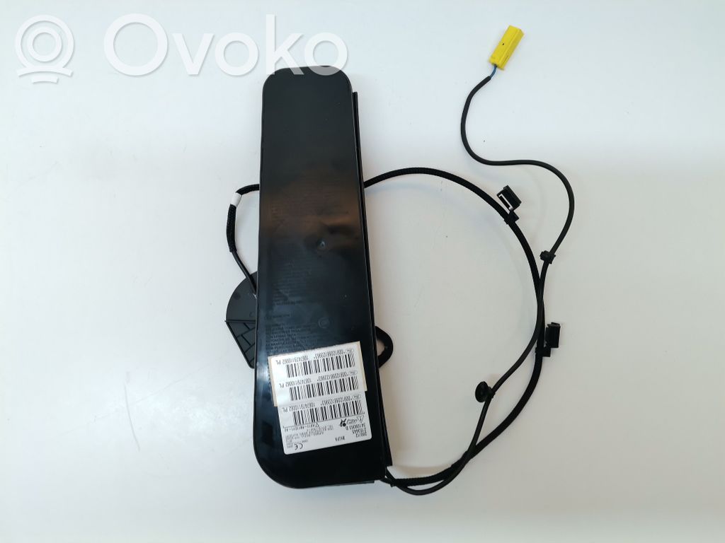 Sitz-Airbag   1867899,1867899,AV11R611D11AE,SFJB