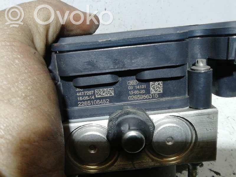 ABS Pump   0265956315,2265106452