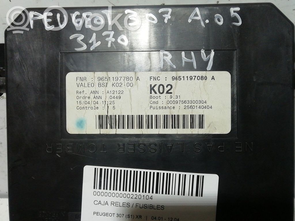 Peugeot 307 BSM Control unit 