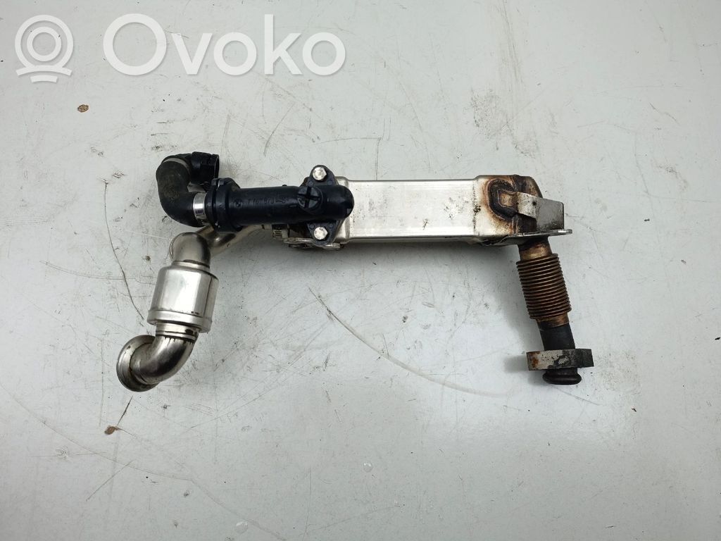 EGR valve cooler   7790065